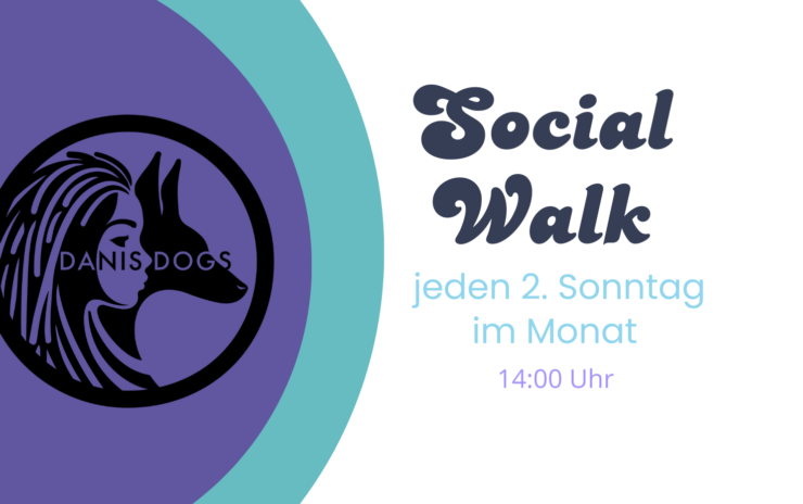 monatlicher Social Walk