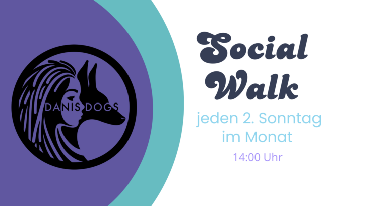 monatlicher Social Walk