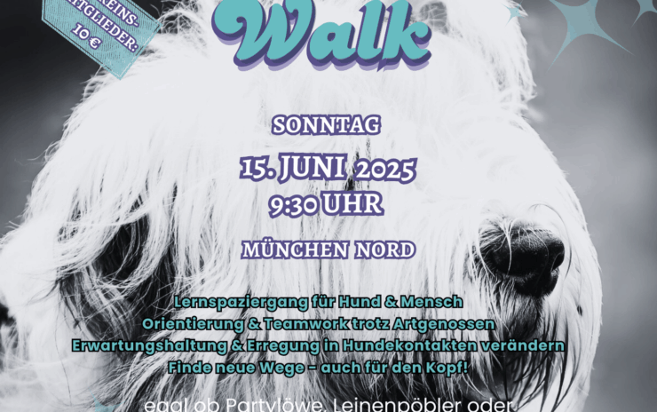 Danis Social Walk, 1x monatlich ab 15.06.2025 – Entspannt unterwegs, gemeinsam wachsen