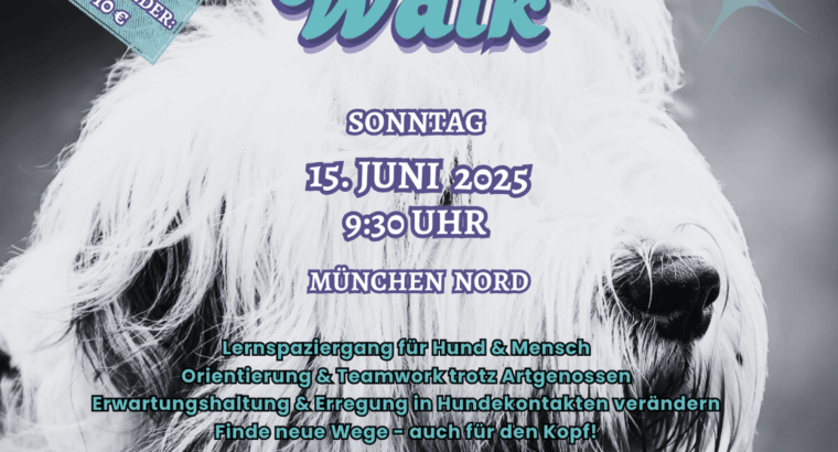Danis Social Walk, 1x monatlich ab 15.06.2025 – Entspannt unterwegs, gemeinsam wachsen