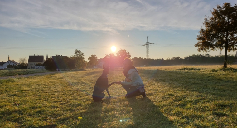 Danis Social Walk am 17.05.2025 – Entspannt unterwegs, gemeinsam wachsen