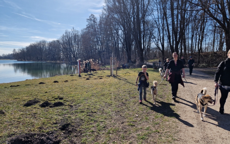 Danis Social Walk am 01.06.2025 – Entspannt unterwegs, gemeinsam wachsen