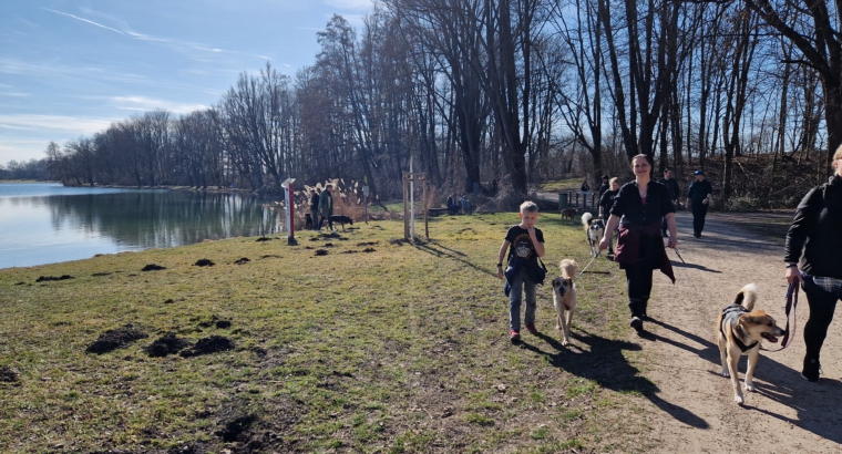 Danis Social Walk am 01.06.2025 – Entspannt unterwegs, gemeinsam wachsen