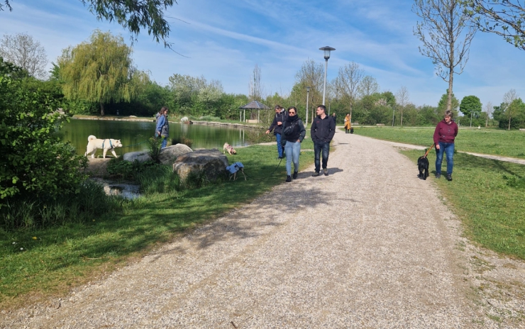 Danis Social Walk am 11.05.2025 – Entspannt unterwegs, gemeinsam wachsen