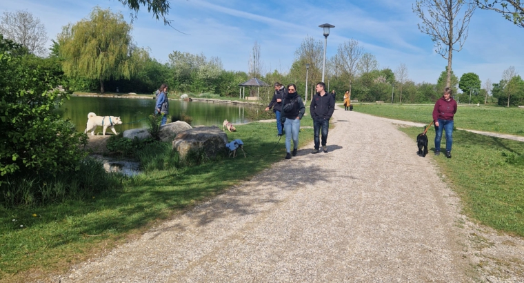 Danis Social Walk am 11.05.2025 – Entspannt unterwegs, gemeinsam wachsen