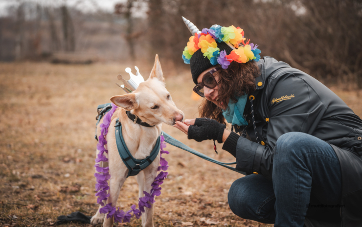 Danis Dogs beim ersten CSD in Karlsfeld – Vielfalt auf allen Ebenen!