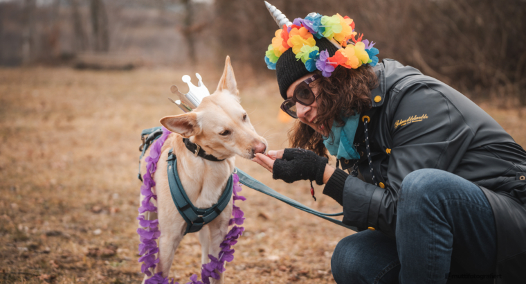 Danis Dogs beim ersten CSD in Karlsfeld – Vielfalt auf allen Ebenen!