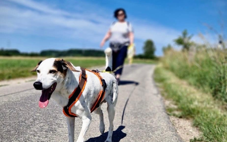 Danis Social Walk am 06.07.2025 – Entspannt unterwegs, gemeinsam wachsen