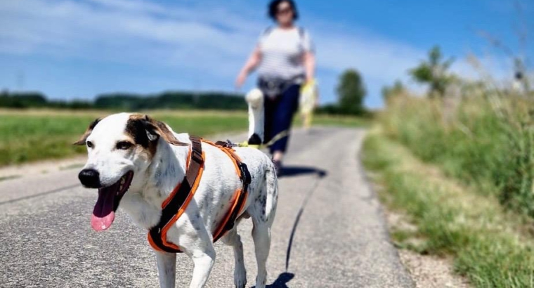 Danis Social Walk am 06.07.2025 – Entspannt unterwegs, gemeinsam wachsen